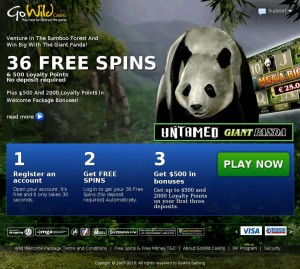 MailShark Go Wild Casino No Deposit Required Visit Website