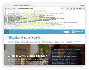 MailShark Microsoft anti-surveillance website was hacked Digital Constitution