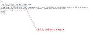 MailShark Russian Bride Email Scam